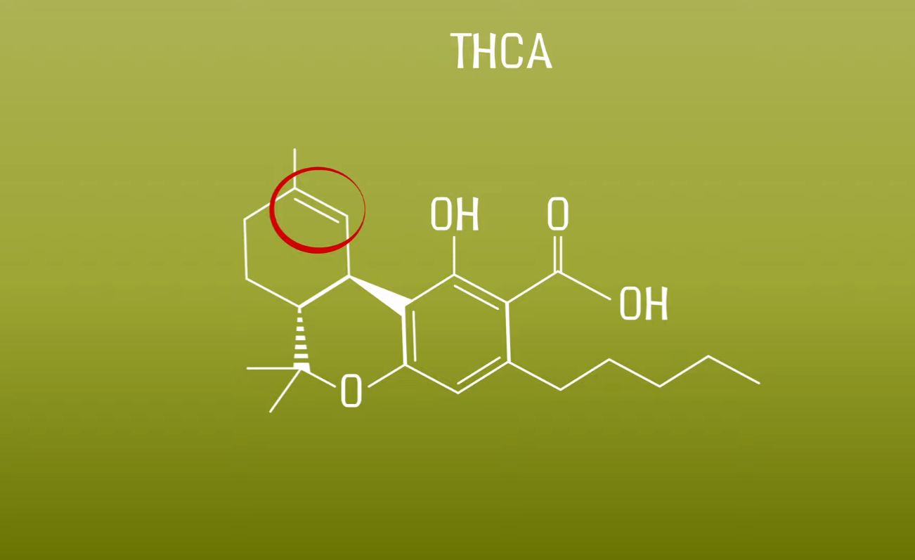 THCA hat eine Doppelbindung mehr als Delta 9 THC und schützt die DNA der Pflanze gegen UV-Strahlen