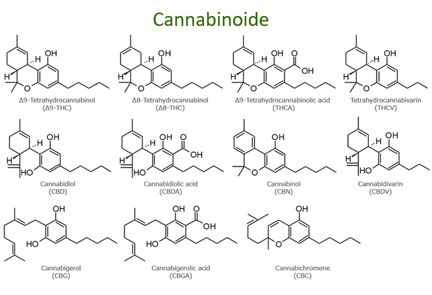 CANNABINOIDE