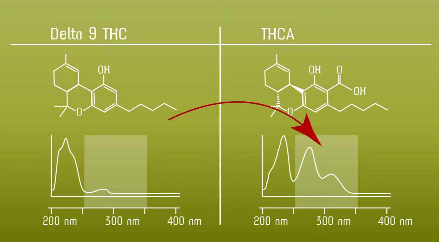 CANNABIS THC und UV-STRAHLEN