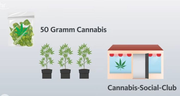 Cannabis legal konsumierbar?