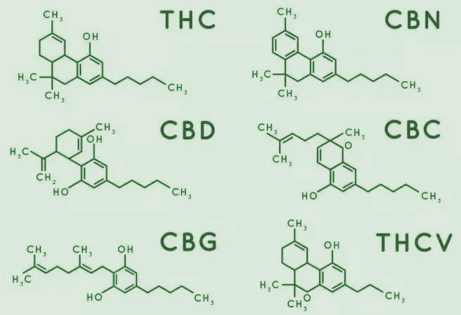 CANNABIS Formeln - THC - CBD - CBN - CBC - CBG - THCV