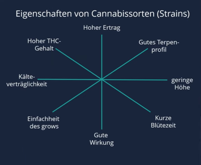 Positive Strain-Eigenschaften