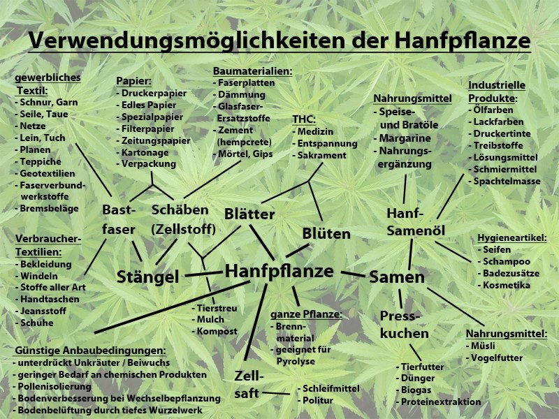 Vielfältige Verwendungsmöglichkeiten der Heilpflanze Hanf