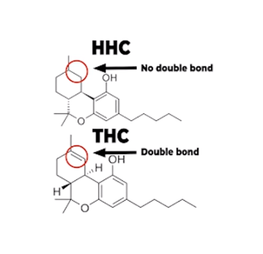 HHC vs. THC (chemische Formel)