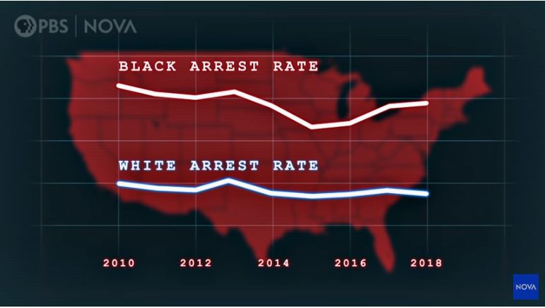 Durchschnittliche Straftäter in den USA - Zumeist Farbige Menschen!!! (2010-2018)