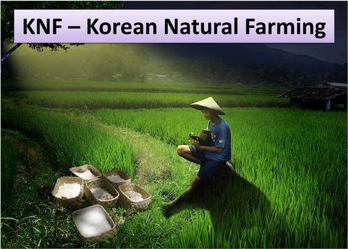 Was ist KNF - Korean Natural Farming?